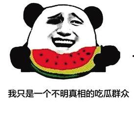 网络用语吃瓜怎么说,网络热词“吃瓜”背后的趣味解读